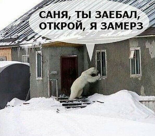 Прикольные и просто красивые картинки 07.02.2025