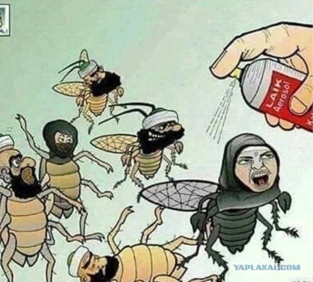 Бальзам на раны русского человека