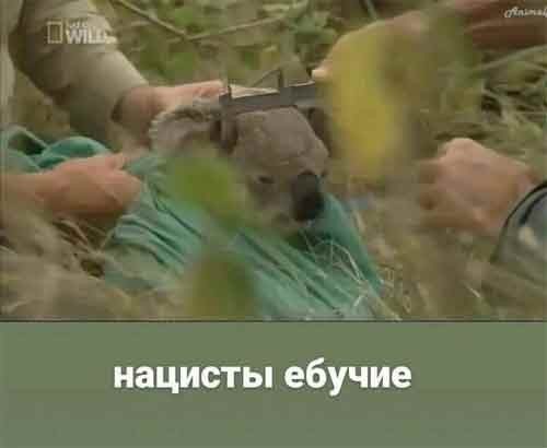 20725693.jpg