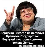 "Если ограничить работу всех мессенджеров, но оставить только MAX, то проблема IT-преступлений будет решена"