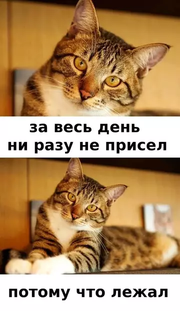 Картиночки, баянчики 05 марта