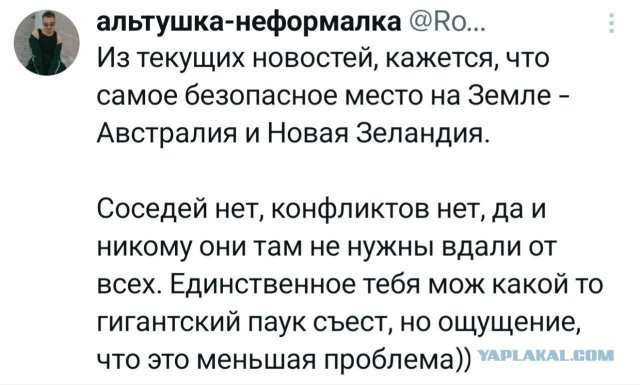 Субботние картинки
