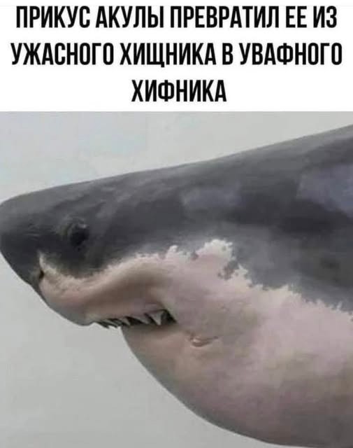 Субботние картинки