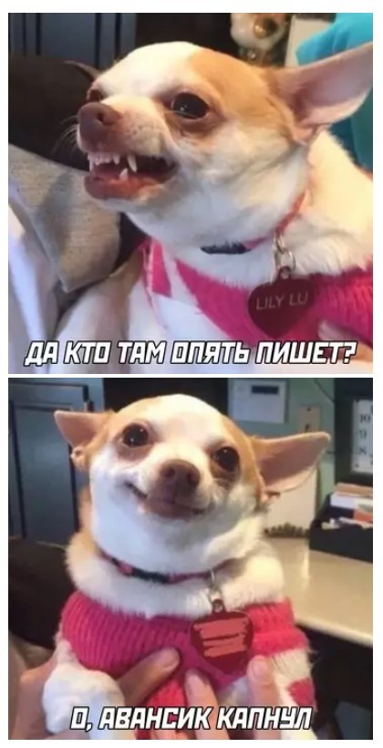 Картиночки, баянчики 16 мая