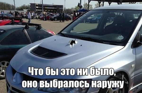 Веселые картинки в понедельник (13.07)