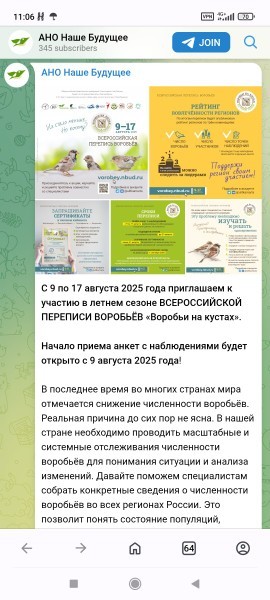 На перепись воробьёв России потратят почти 14 000 000 рублей