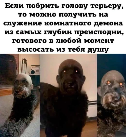 Картинки на субботу
