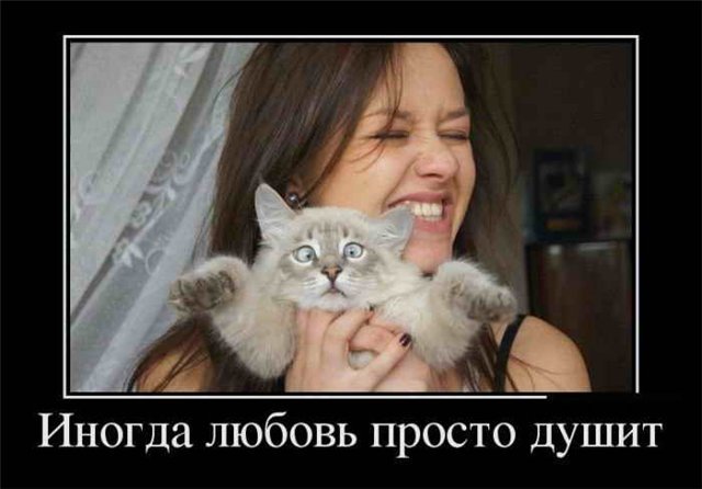 Тема для юмора