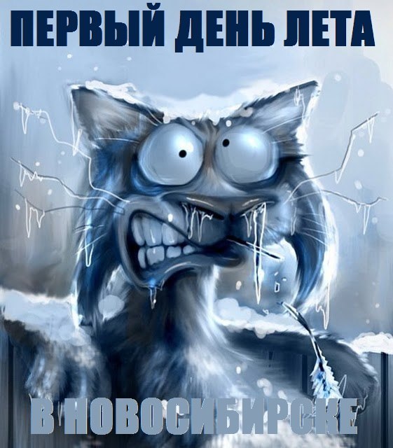 Что ж, лето началось, отсчет пошел