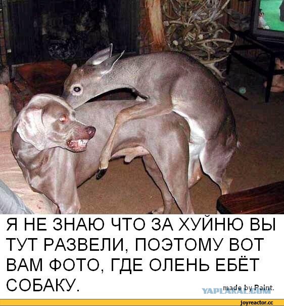 Я чмурлО кретинОидное! Нет спасения!