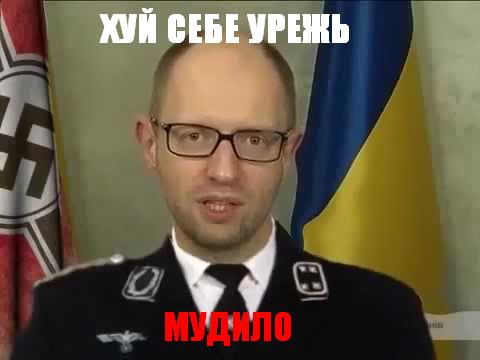 Яценюк предложил урезать