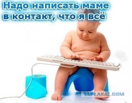 Когда вы плюсуeтe тему в платине