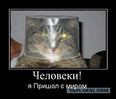 Чёрт, чёрт, чёрт!