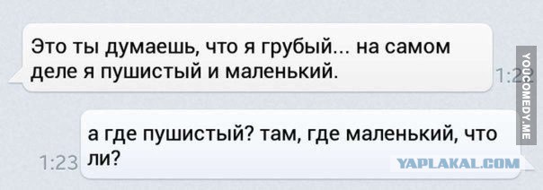 Прикольные пикчи