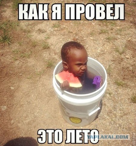 Немного смешных картинок из сети