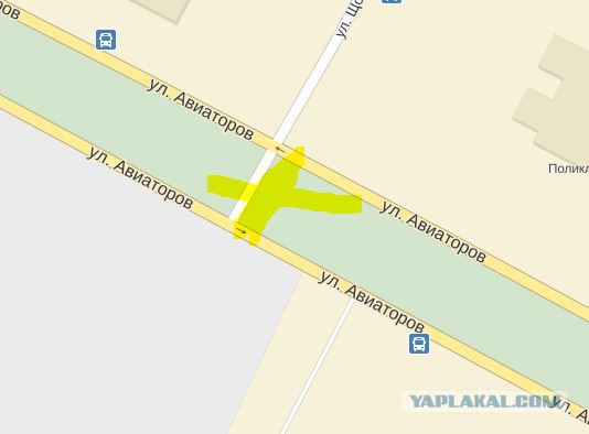 Второй день рождения