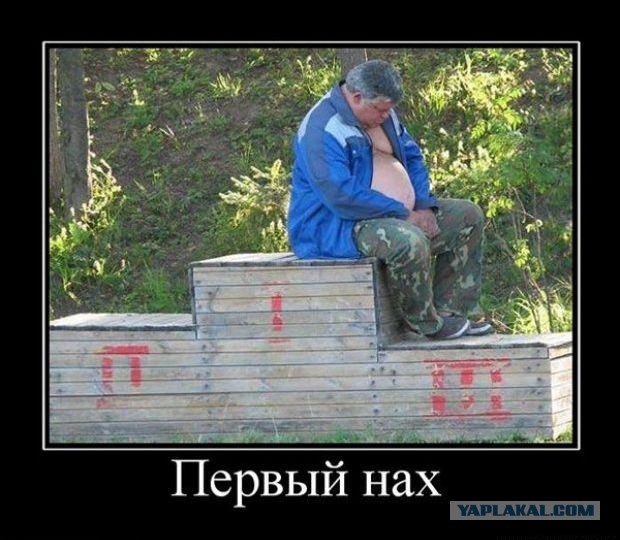 Подборка веселых картинок