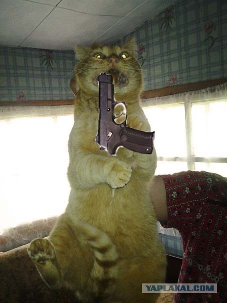 С поличным