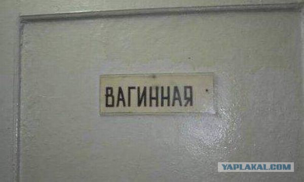 Весёлые картинки