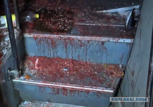 Видео растреляного автобуса под Волновахой