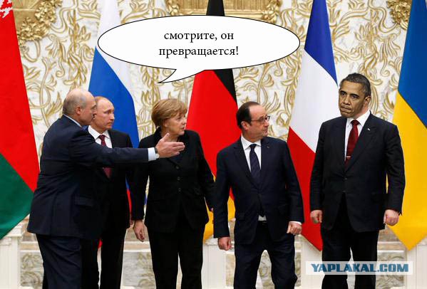 Предлагаю пожабить