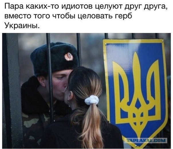 Приколы из соцсетей