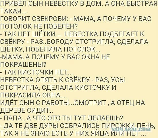 Присмотритесь к фото