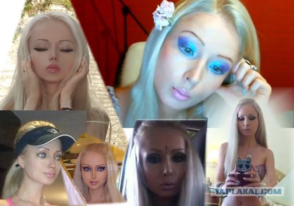 Топ 10 самых опасных насекомых и в мире