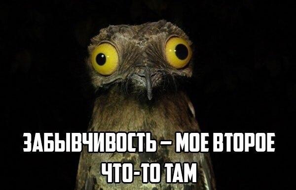 Веселые картинки