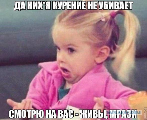 Прикольные фото и картинки