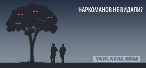 Наркоманский юмор