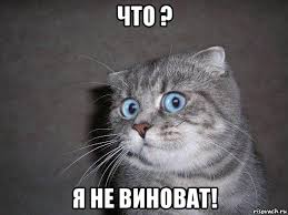 Женщина и утюг. Разочарование