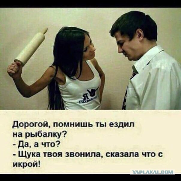 Картинки из ваших этих итернетов...