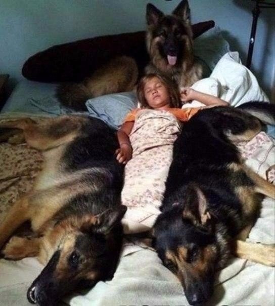 Подборка картинок