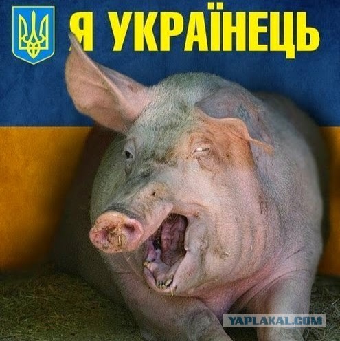 Непризнанный Донбасс. Жизнь между миром и войной