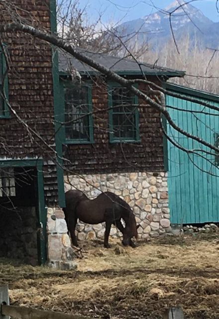 Подборка интересных и веселых картинок