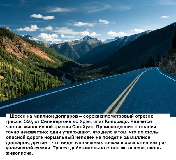 Интересные и веселые картинки
