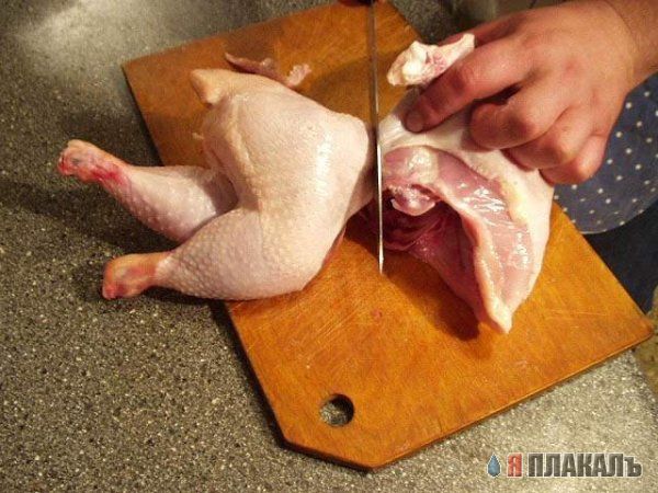 Курица и все из нее!