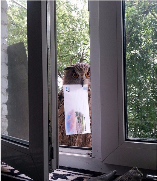 Божьи твари