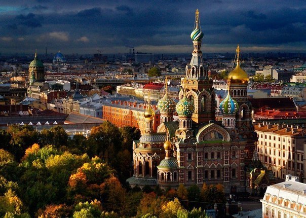 Порция картинок