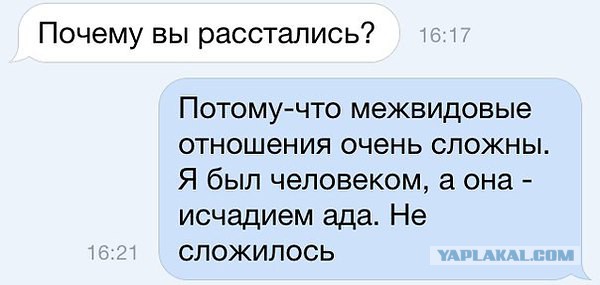 Всякие разные картинки из интернета