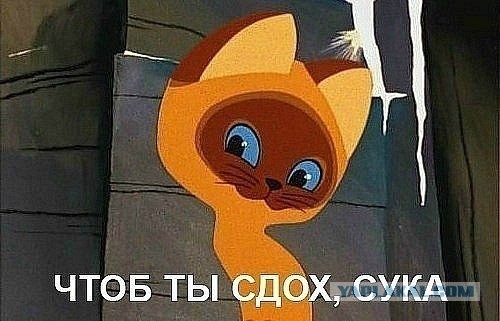 Уголовный разворот в деле “Порше” против скорой