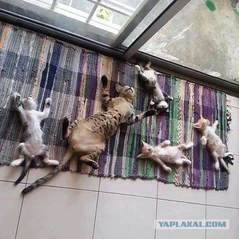 Когда просят сделать непринужденную позу на фото
