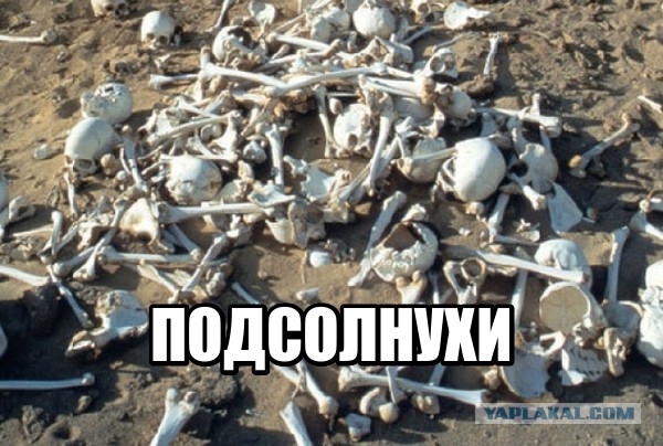 Пожалуй, не очень светлый юмор. Для таких же людей