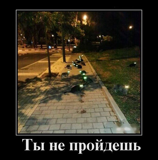 Картинки в черных рамках с подписями