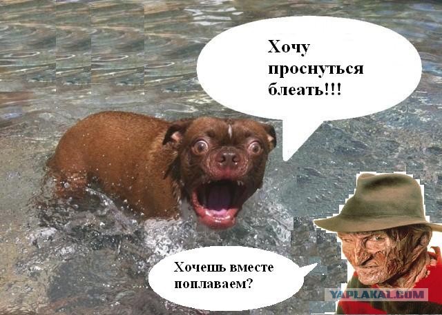 Жабельный собакен