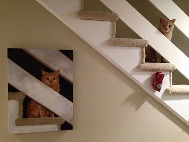 Коты и Кошки