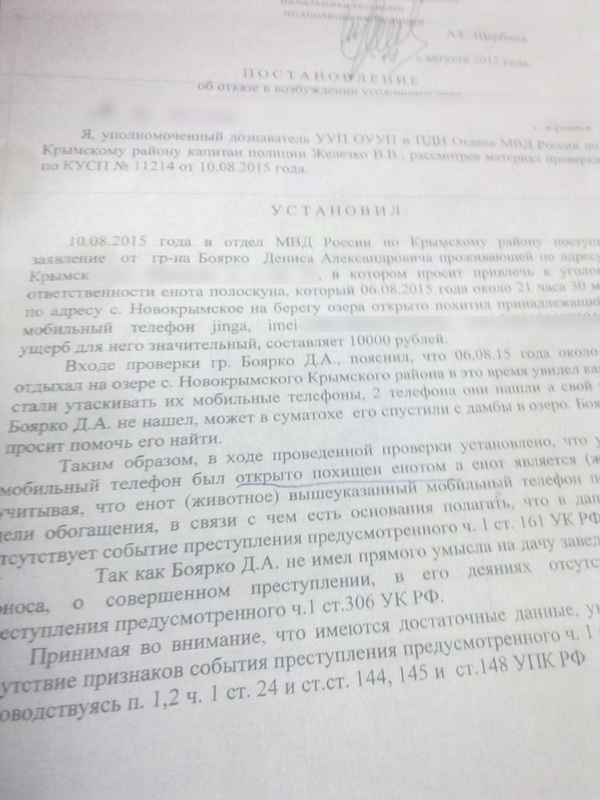 Еноты разгромили продуктовый магазин в Черновицкой области