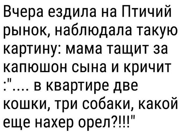 Смешные комментарии из социальных сетей 24.11.2017
