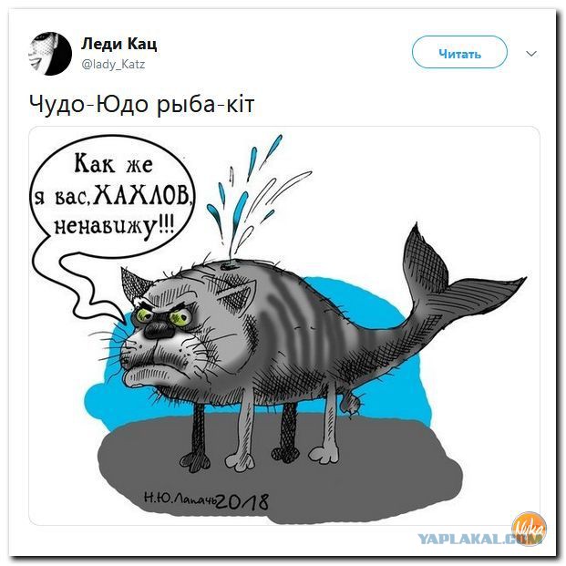 Нестандартный юмор